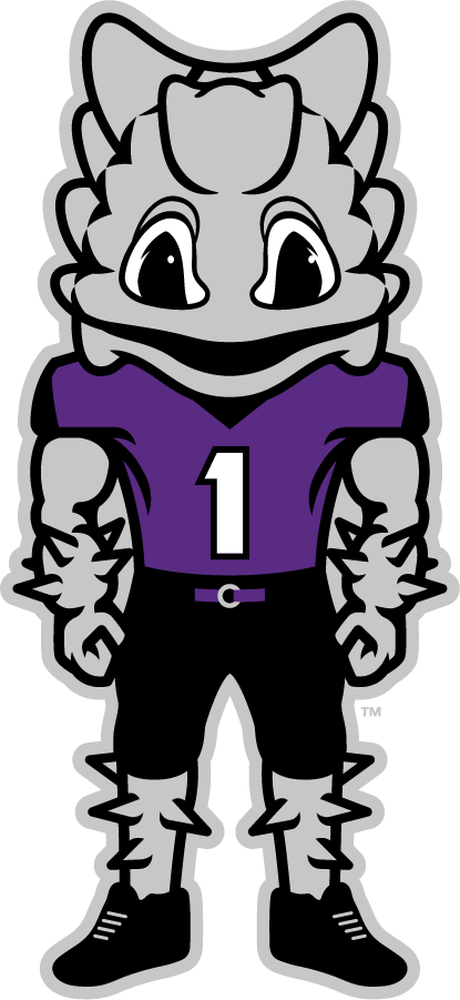 TCU Horned Frogs 2016-Pres Mascot Logo diy iron on heat transfer